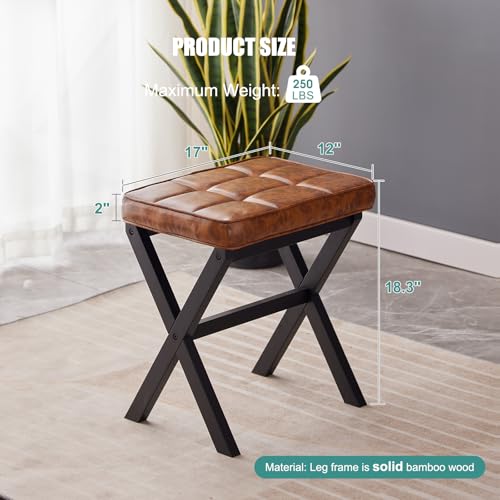 Modern Vanity Chair for Makeup Room and Living Room