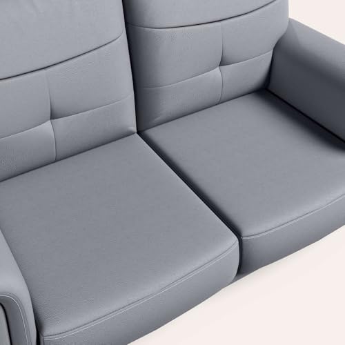 Image of Interio by Godrej Sofa Opulence 2 Seater Synthetic Leather Sofa for Living Room, 1-Year Warranty, Solid Wood, Nimbus Grey
