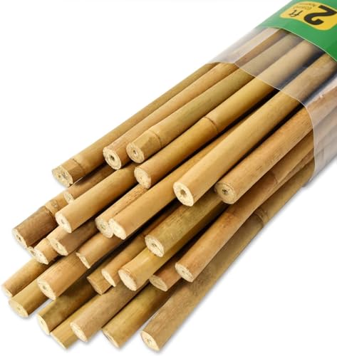 Jollybower 30pcs 3/10" D Thicker Heavy Duty Bamboo Stakes, 2FT Plant Stakes, Natural Garden Stakes for Tomato, Bean, Flowers,Trees Potted and Climbing Plant Support