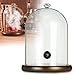 TMKEFFC Campana per Affumicatura, Campana a Cupola in Vetro, Espositore Cloche con Base in Legno, per Cibi Affumicati, Cocktail o Display
