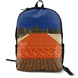 Materialbeschreibung: Der Klassische Rucksack Besteht Aus 600d Oxford-Polygewebe (Polyester). Gr??e: Dicke X Breite X H?he 14 X 32 X 42 Cm (5,5 X 12,5 X 16,5 Zoll)