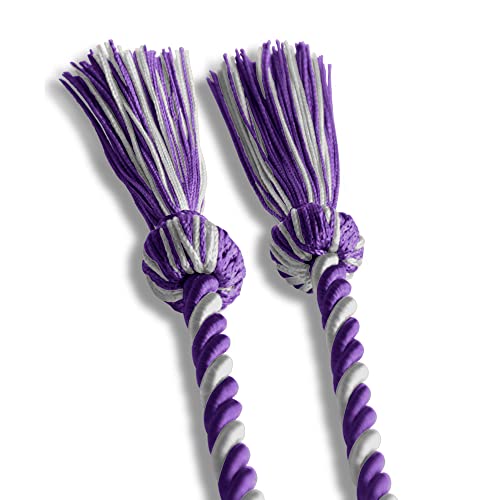 Image of Endea Graduation Single Honor Cord Two-Color (Purple /Silver)