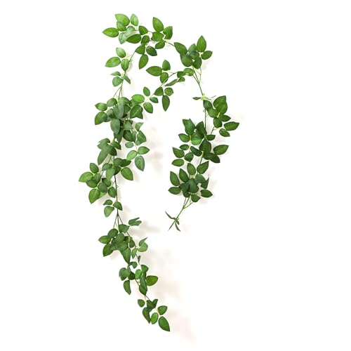 yowodana tFCNO[ lHϗtA ݂艺 Ǌ| S180cm lHA lH ԓ ͋C  I  Be