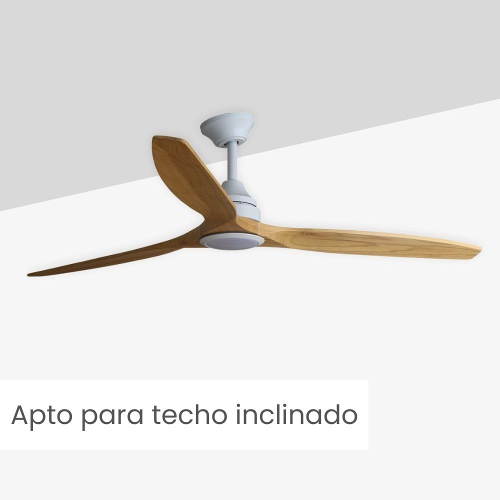 Faro ALO Groer weier DC-Deckenventilator aus Holz CCT mit 6  Geschwindigkeiten : Amazon.de: Kche, Haushalt & Wohnen