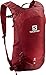 Salomon Trailblazer 10 Unisex Rucksack für Wandern, Perfekt für Laufen, Wandern und Radfahren, Rote Chilli/Rote Chilli/Red Chili, Kapazität für bis zu 10 Liter