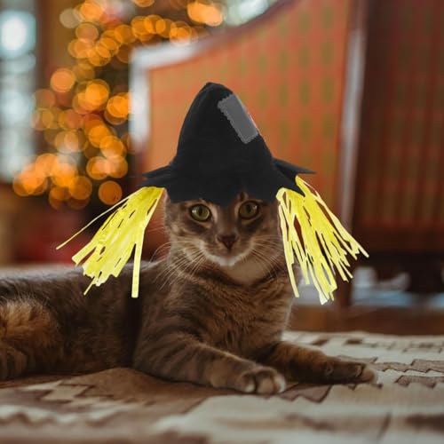 Sombrero espantapájaros para perros pequeños Halloween miniatura 2