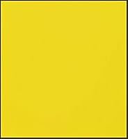 Vista 206 de Faber-Castell Polychromos Artists' Single Pencil - Colour 267 Pine Green