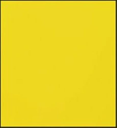 Vista 206 de Faber-Castell Polychromos Artists' Single Pencil - Colour 267 Pine Green