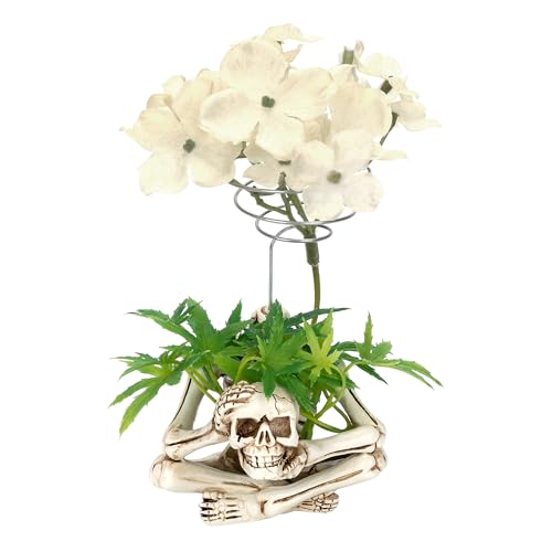 CAIRIAC Air Plant Holder Unique Resin Skeleton Stand Tillandsia Planter Container for Airplants, Home & Office Decor on Desk, Tabletop, Shelf Display for Air Plants Lovers