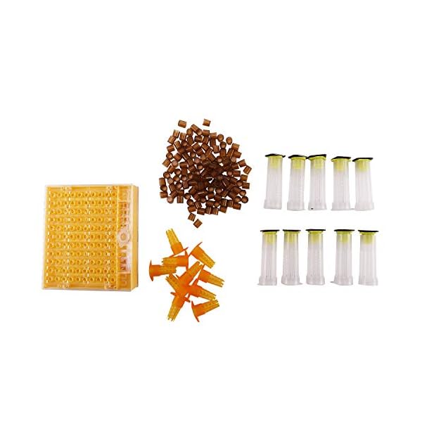 Cuasting Bienenzucht Bau Satz 120 Zell Cup Bienen Werkzeug Set K？nigin Aufzucht System Biene Nicot Komplette F？nger K？fig Imkerei Helfer