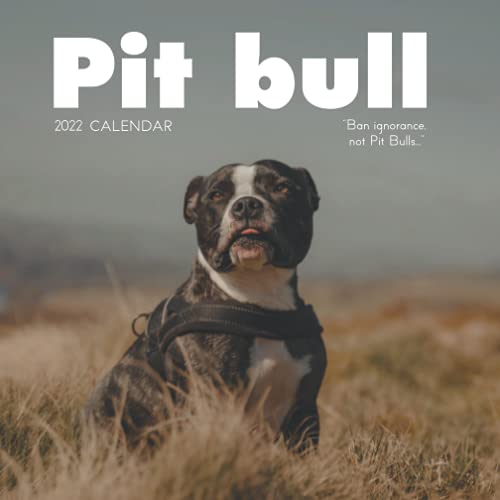 Pit bull 2022 Calendar: From January 2022 to December 2022 - Square Mini Calendar 7x7" - Small Gorgeous Non-Glossy Paper