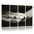 8 Pack Art Acoustic Panels Sound Absorbing Panels, 48x32 Inches Human hand dog paw black white Decorative Acoustic Wall Panels Soundproofing Acoustic Panels