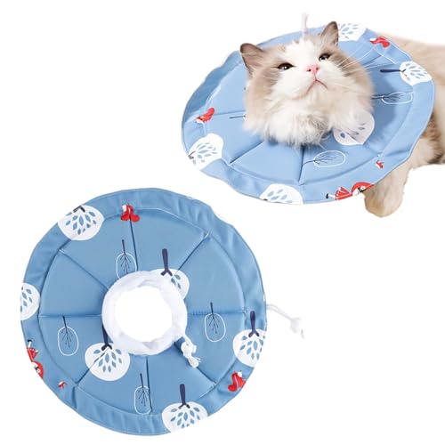 _炩 LpR[  Lp ߉\ 킢u[ h h 2WAYEFA rߖh~ rߖh~ rߖh~ LR[J[ _炩 pR[ ^p (M)