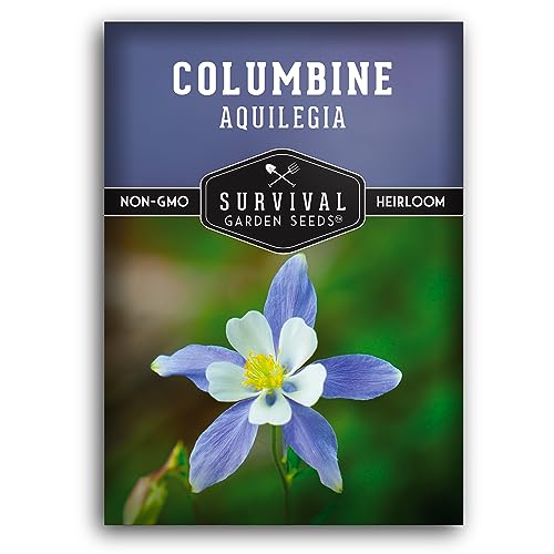 Survival Garden Seeds Blue Columbine Seeds for Planting - 1 Packet with Instructions to Plant and Grow Aquilegia in Your Home Flower Garden - Non-GMO Heirloom