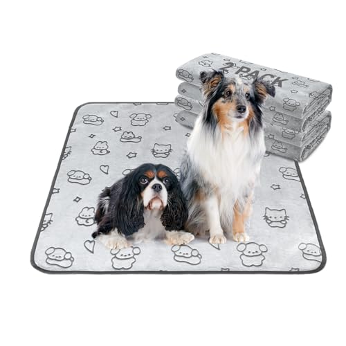 Image of Qeils Reusable Puppy Pads, 2 Pack Washable Pee Pads for Dogs, Waterproof Non Slip Wee Wee pad, Absorbent and Leakproof Training Mats for Potty, Crate, Playpen, Bed, Sofa, 36 inchx 36 inch
