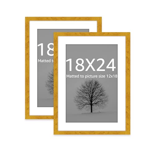 Image of Art Street Synthetic Document Large Size Wall Photo Frame, Set of 2 Big Frames For Wall Artwork, Certificates, Picture & Photographs Home Decor (18x24 Inch, Matted To: 12x18 Inch, Gold)