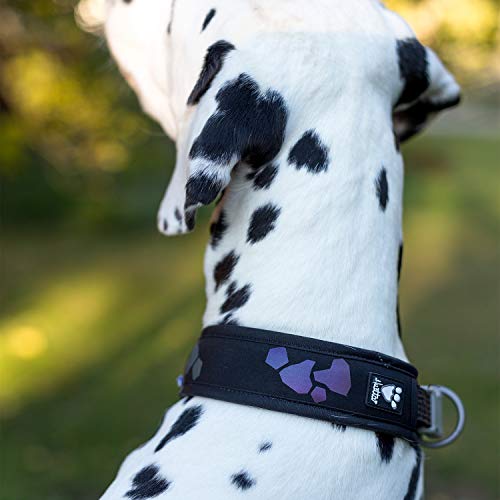 Hurtta Weekend Warrior Halsband für Große Hunde, Hundehalsband Schwarz 55-65 cm