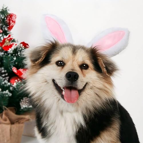 Diadema Orejas de Conejo para Perros Pequeños miniatura 4