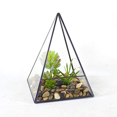 Kuingbhn Plant Terrarium Pyramid Vertical Metal Glass Geometric Terrarium For Home And Wedding Indoor And Outdoor Decor (Color : Clear, Size : 14x14x18.5cm)