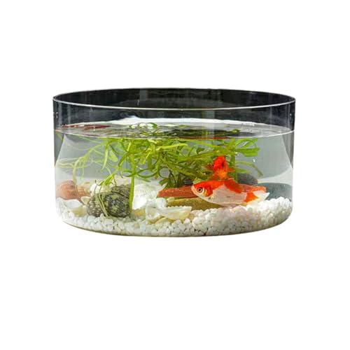 SIzlaho金魚鉢 水槽 飼育水槽 プラスチック テラリウム 透明アクリル 観葉植物 インテリア 容器 テーブル アクアリウム ボウル 水培 大容量 おしゃれ メダカ 鉢 インテリア (大きい)