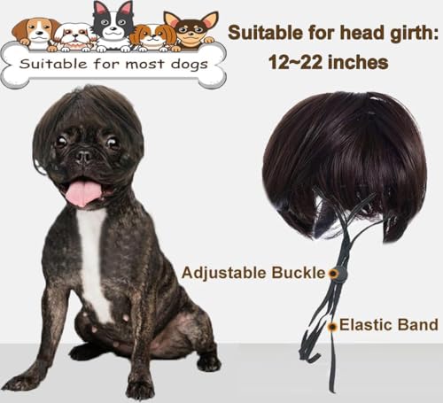 Peluca para Mascotas Estilo Humano para Disfraz miniatura 4