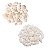 Muscheln zum Basteln, 2 Boxen Natürliche Muscheln und Schnecken, Muscheln Deko für DIY Handwerk, Heimdekoration, Schmuckherstellung DIY Armbandschmuck, Home Decoration