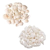 Muscheln zum Basteln, 2 Boxen Natürliche Muscheln und Schnecken, Muscheln Deko für DIY Handwerk, Heimdekoration, Schmuckherstellung DIY Armbandschmuck, Home Decoration