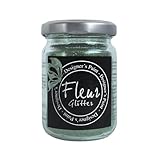 FLEUR DESIGNER'S PAINT