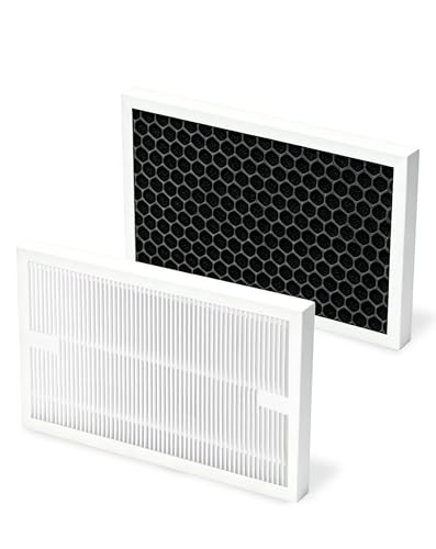 Confezione da 2 filtri deumidificatori compatibili con deumidificatori Bosch Dry Series...