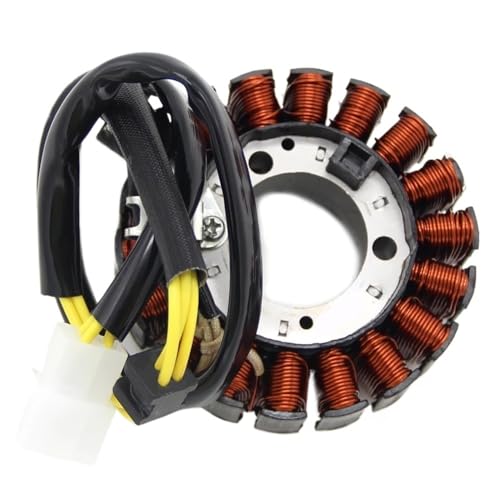 Stator magnétique CH250 bobine d'allumage pour moto FES250 et NSS250 MF06 Reflex