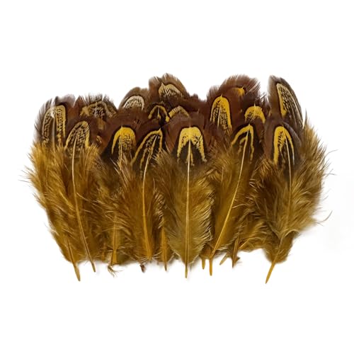 100 pcs Natural Pheasant Plumage Feathers 2-3 Inches Plumage Feathers for Sewing Crafts Clothing Decorating Accessories -Gold