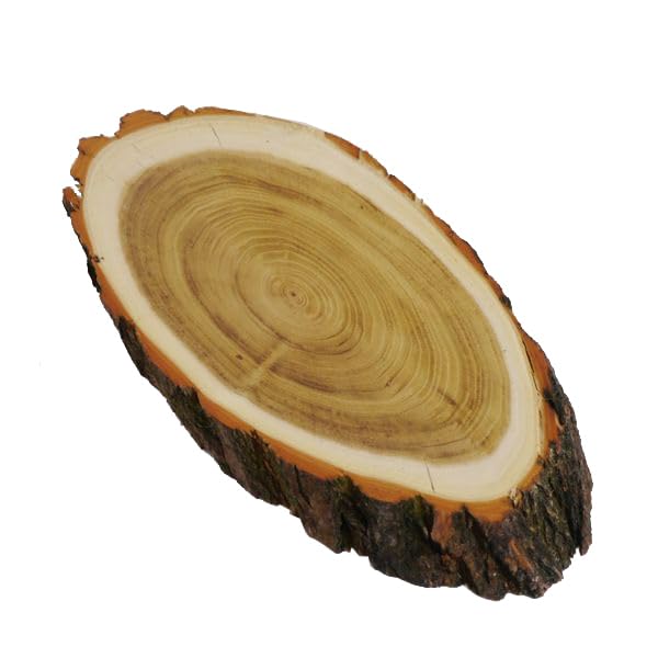 Targa Trofeo In Legno Acacia | Per Corna Di Capriolo, 19 Cm - REH Bock AF - Foto 5