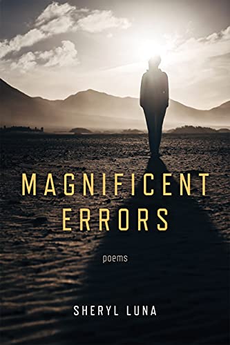 Magnificent Errors view 2