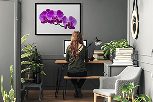 Image murale fleurs sur le mur grand format cadre MDF 70x50