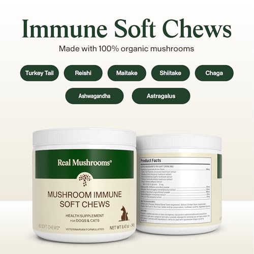 Mushroom Blend For Dogs With Cancer