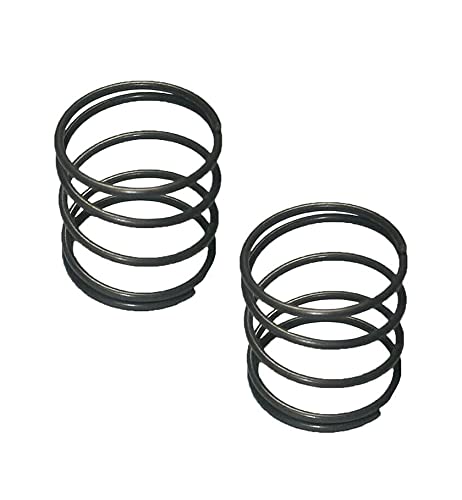 2 Pack of Genuine OEM Replacement Springs # 176842-00-2PK