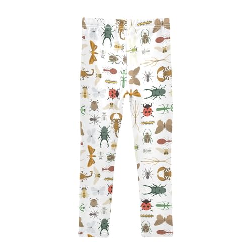 ZZKKO Girls Leggings Multiple Insects Toddler Girls Clothes Leggings for Girls Toddler Girls Leggings 3-4T2