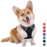 BARKBAY No Pull Dog Harness Large Step in Reflective Dog Harness with Front Clip and Easy Control Handle for Walking Training Running(Black,M)