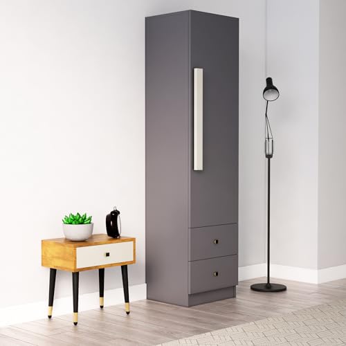 Image of Bniture Wooden Almirah for Clothes, Door for Bedroom, 1 Door Wardrobe with 2 Drawer & Hanging Space 3 Years Warranty (Slate Grey)