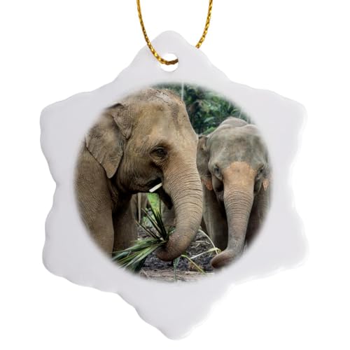 3dRose Sri Lanka, Elephant Orphanage 3 inch Snowflake Porcelain Ornament