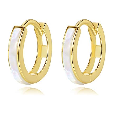 VIKI LYNN 18K Gold Plated Huggie Hoop Earrings with Mother of Pearl Jewelry for Women Cover