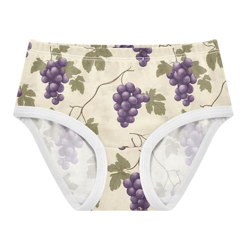 Vintage Grape Pattern Toddler Girls's Underwear 2T 202c1129