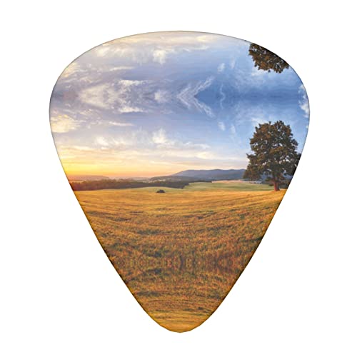 Ensemble de 12 médiators de guitare paysage d’herbe dorée d’automne pour guitare acoustique, guitare électrique… - Les Beatles, Paul McCartney, John Lennon, RIngo Starr, George Harrison Ensemble de 12 médiators de guitare paysage d'herbe dorée d'automne pour guitare acoustique, guitare électrique…