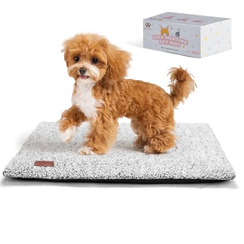 Mora Pets Selbstheizende Katzendecke Selbstwärmend Decke Katze, Heizdecke für Katze & Hunde Ohne Strom, Wärmedecke Angenehm Geräuschlos, Katzen Decke Flauschig & Rutschfester, 74 x 48 cm