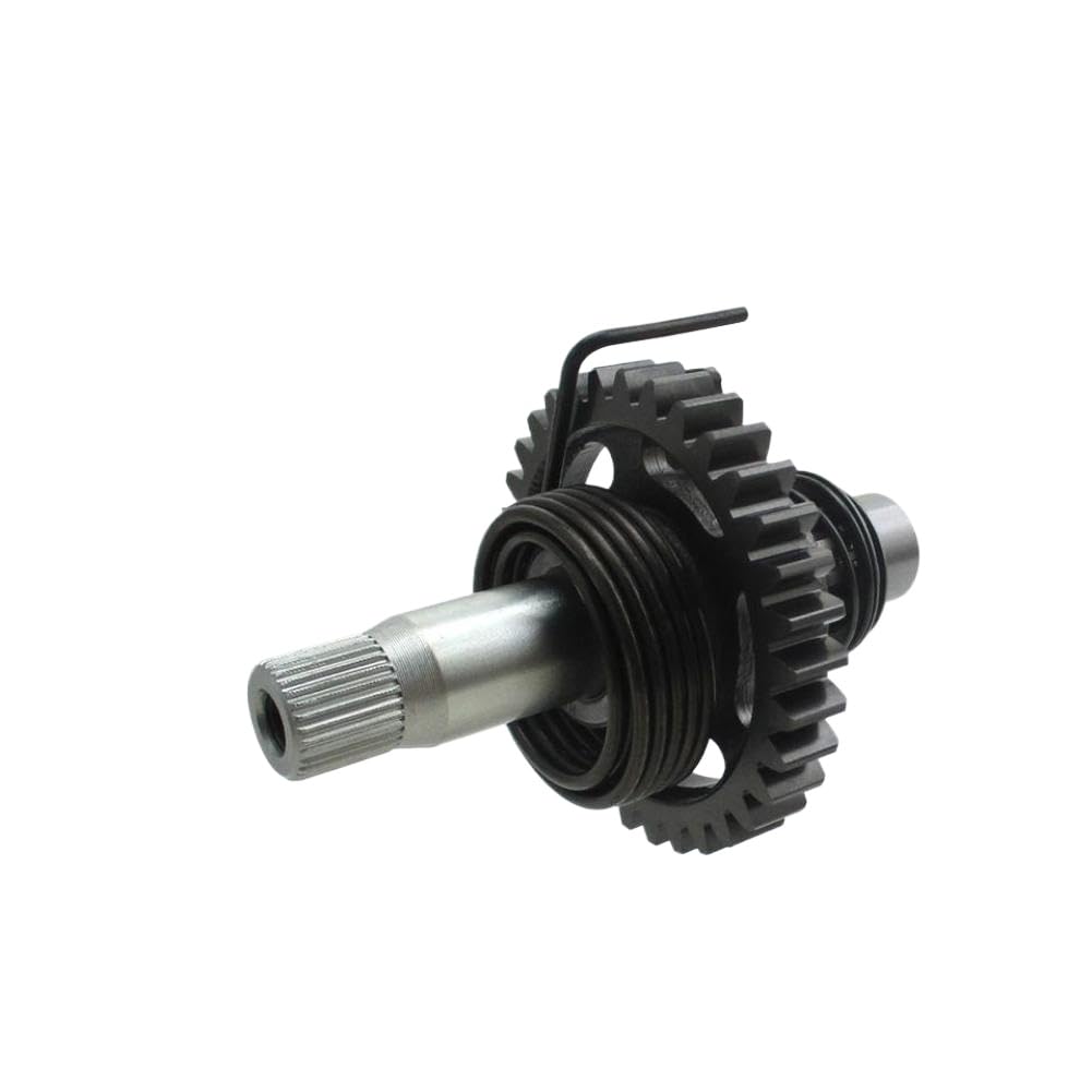 Gruppo albero di avviamento a pedale compatibile con il motore ZS177MM 250cc per motociclette fuoristrada selezionate