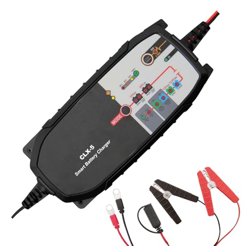 Caricabatterie LiFePO4 12.8V/16V fino 250Ah e piombo 12V/24V fino 500Ah