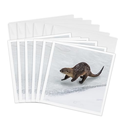 Loutre de rivière nordique cartes de vœux carrées pour correspondances nature