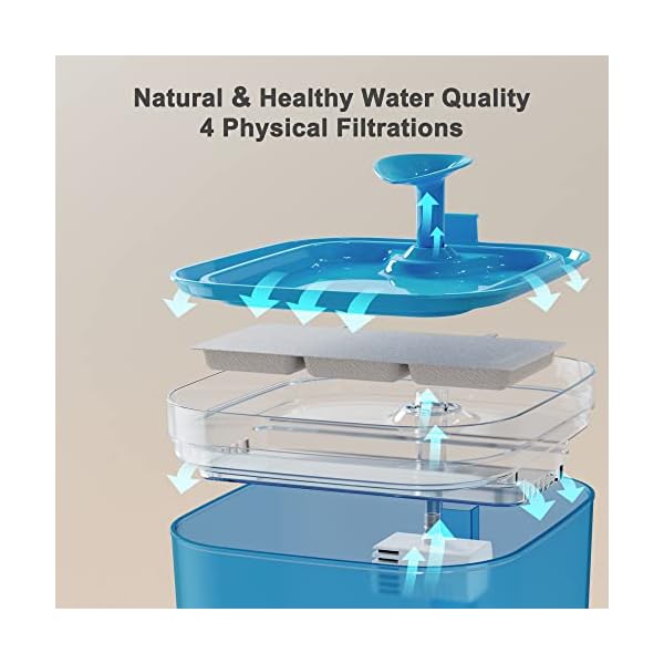 Petory-Cat-Water-Fountain-Automatic-Pet-Water-Fountain-Cat-Water-Dispenser-with-2-Replacement-Filters-74oz22L-BPA-Free-Water-Fountain-for-Cats-Inside-with-2-Flow-Modes Water Fountain for Dogs with 2 Flow Modes