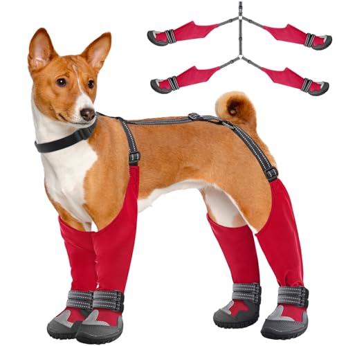 Dogs Wearing Shoes The 15 best products compared Wild Explained