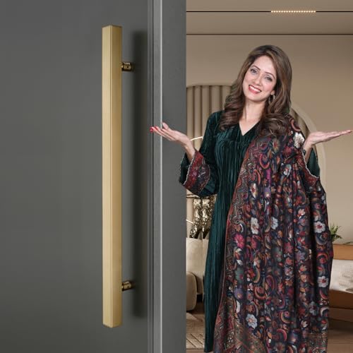 Image of LAPO Pull Push Handle for Main Entrance | 24 Inch Stainless Steel Pull Handle | Gold Finish | Supports 30-100mm Door Thickness |Ideal for Wooden & Glass Doors| 3 Years Warranty